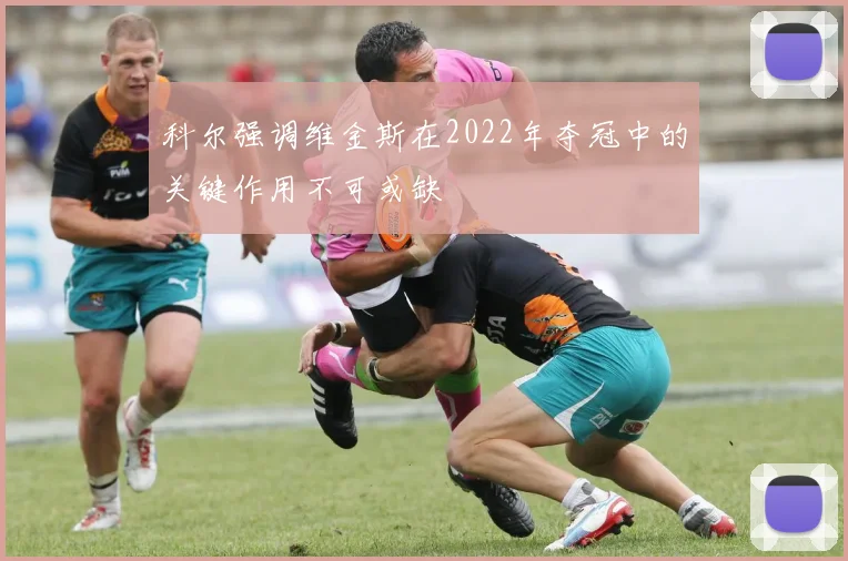 科尔强调维金斯在2022年夺冠中的关键作用不可或缺